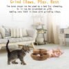 Foldable Magnetic Cat Scratching Board