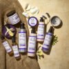 Carol's Daughter Black Vanilla Shampoo and Conditioner Set